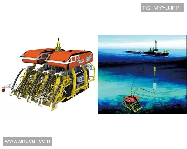 LNG在挑战者杯中的耐力表现分析与未来展望